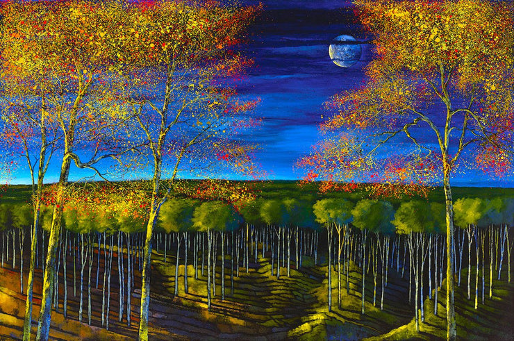 grove of tree under the moonlight