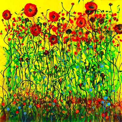 A grove of red poppies